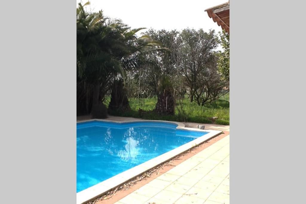 Loft Mansardato Con Giardino E Piscina In Villa Privata Loft With Garden And Swimming Pool In A Private Villa Sestu Luaran gambar
