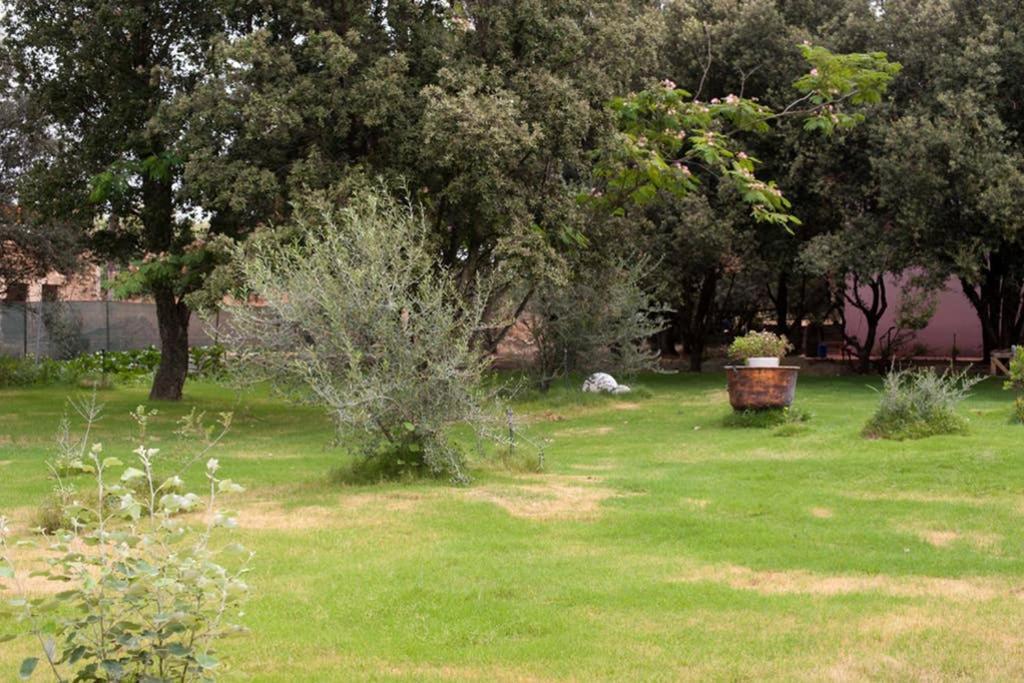 Loft Mansardato Con Giardino E Piscina In Villa Privata Loft With Garden And Swimming Pool In A Private Villa Sestu Luaran gambar