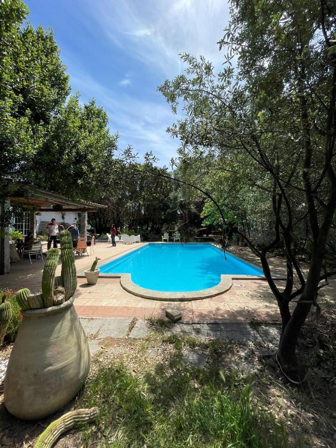 Loft Mansardato Con Giardino E Piscina In Villa Privata Loft With Garden And Swimming Pool In A Private Villa Sestu Luaran gambar